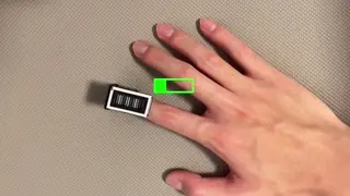 [Fringer]